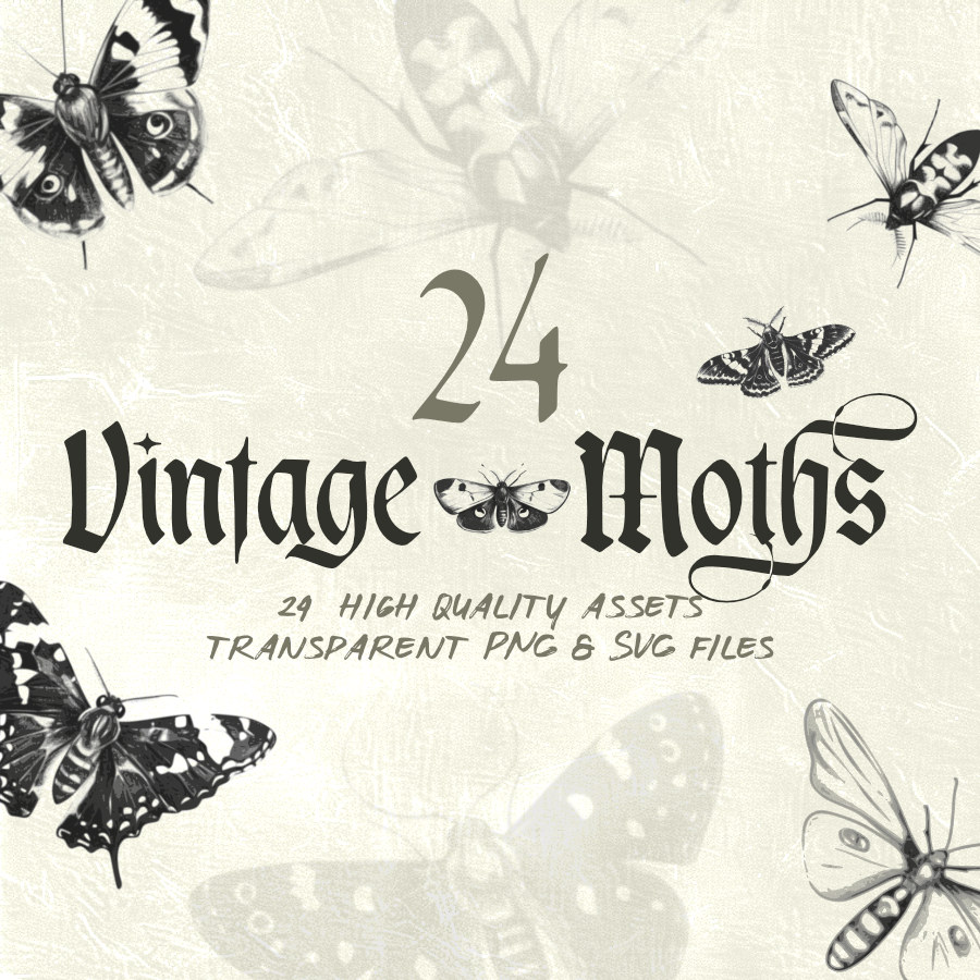 Vintage Moth Illustrations
